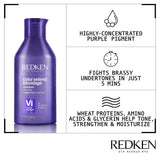 Redken Color Extend Blondage Color Depositing Purple Shampoo 300ml