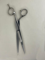 Wahl Cordless Senior - 440C Hairdressing Scissors Barber Starter Kit